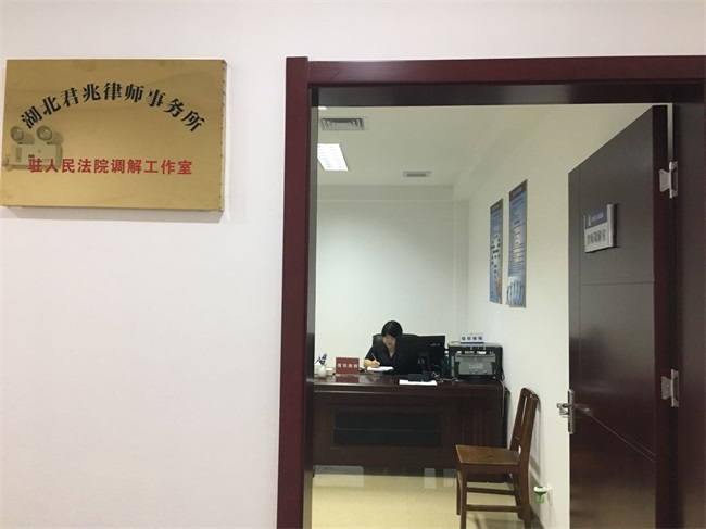 大悟法院开展律师参与调解工作成效初显01.jpg